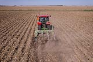 10 Stalk PULLr Orthman